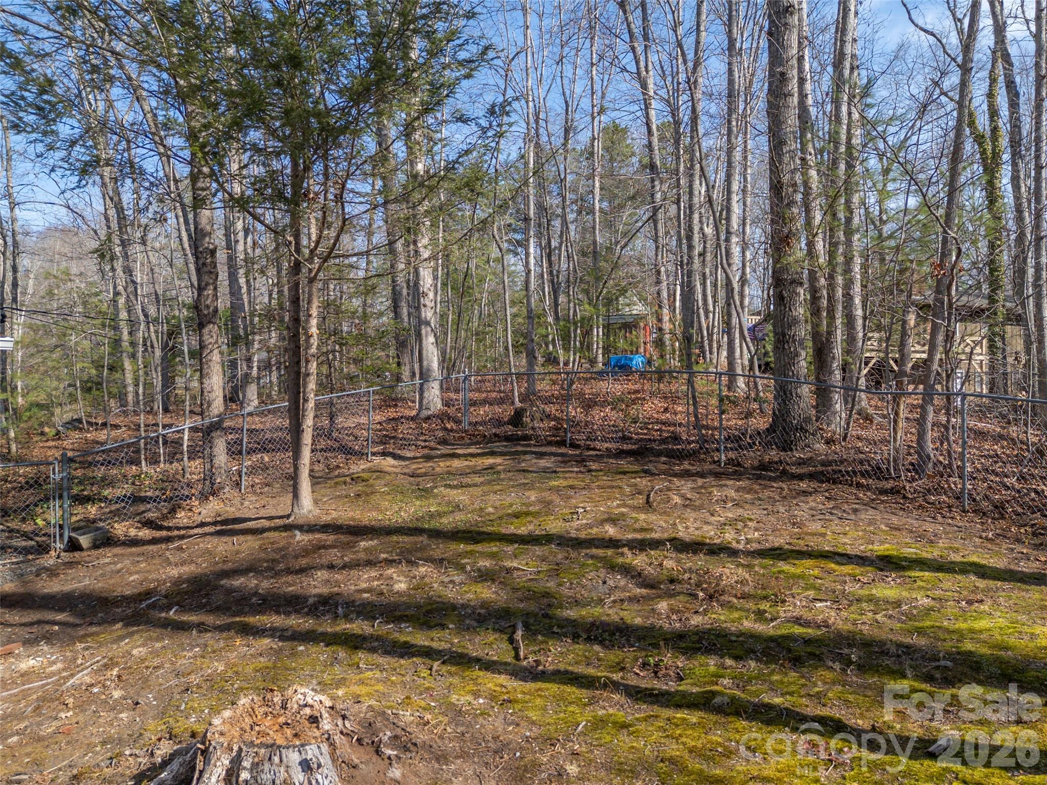 3 Country Road Hendersonville, NC 28791 - Photo 44 of 48 a view of a backyard with green space