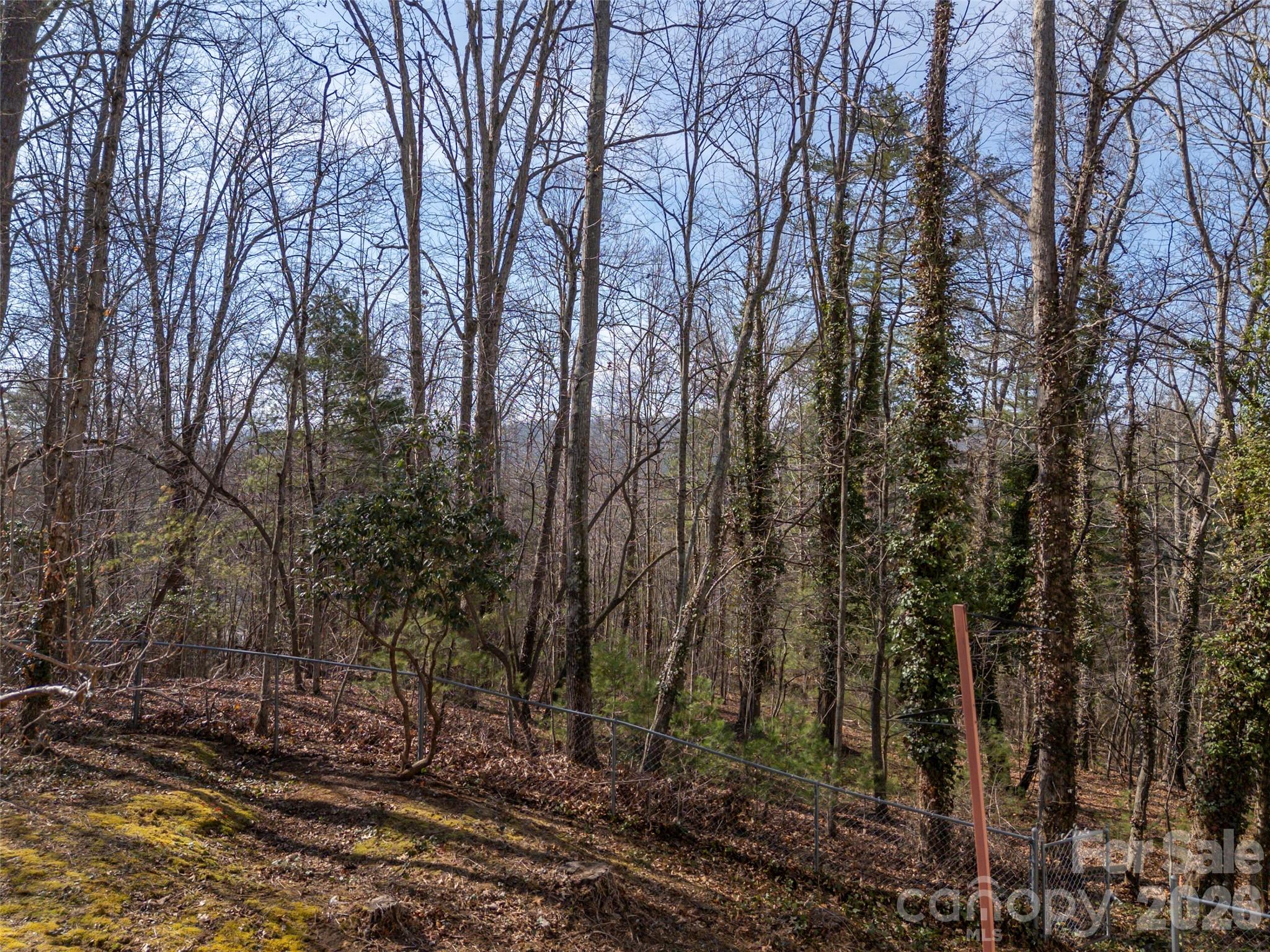 3 Country Road Hendersonville, NC 28791 - Photo 45 of 48 a view of a forest with trees in front of it