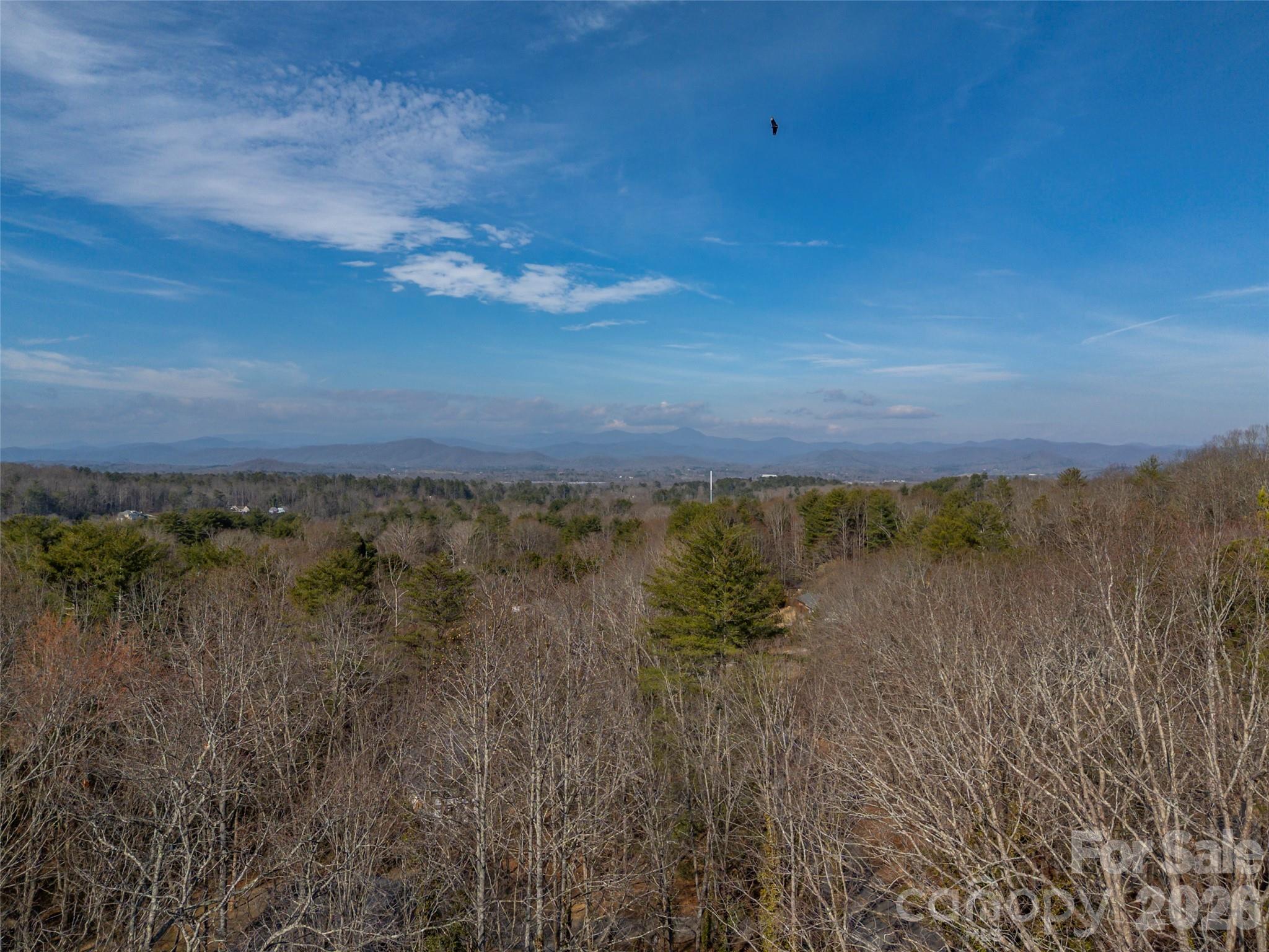 3 Country Road Hendersonville, NC 28791 - Photo 47 of 48 a view of a lake in middle of forest