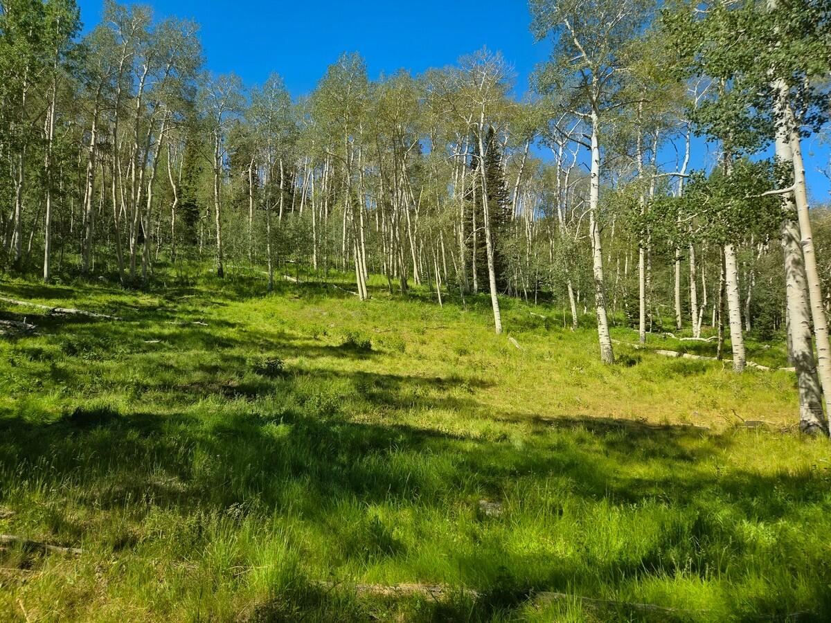 40 Acres Summit Mountain Road Brian Head, UT 84719 - Photo 17 of 32 Of the Property14