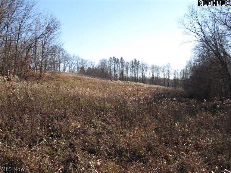 Harvey Chapel Road Logan, OH 43138 - Photo 1 of 11 Gallery Image 1
