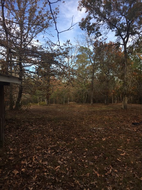 1161 Colbert Bridge Road Aiken, SC 29803 - Photo 2 of 4