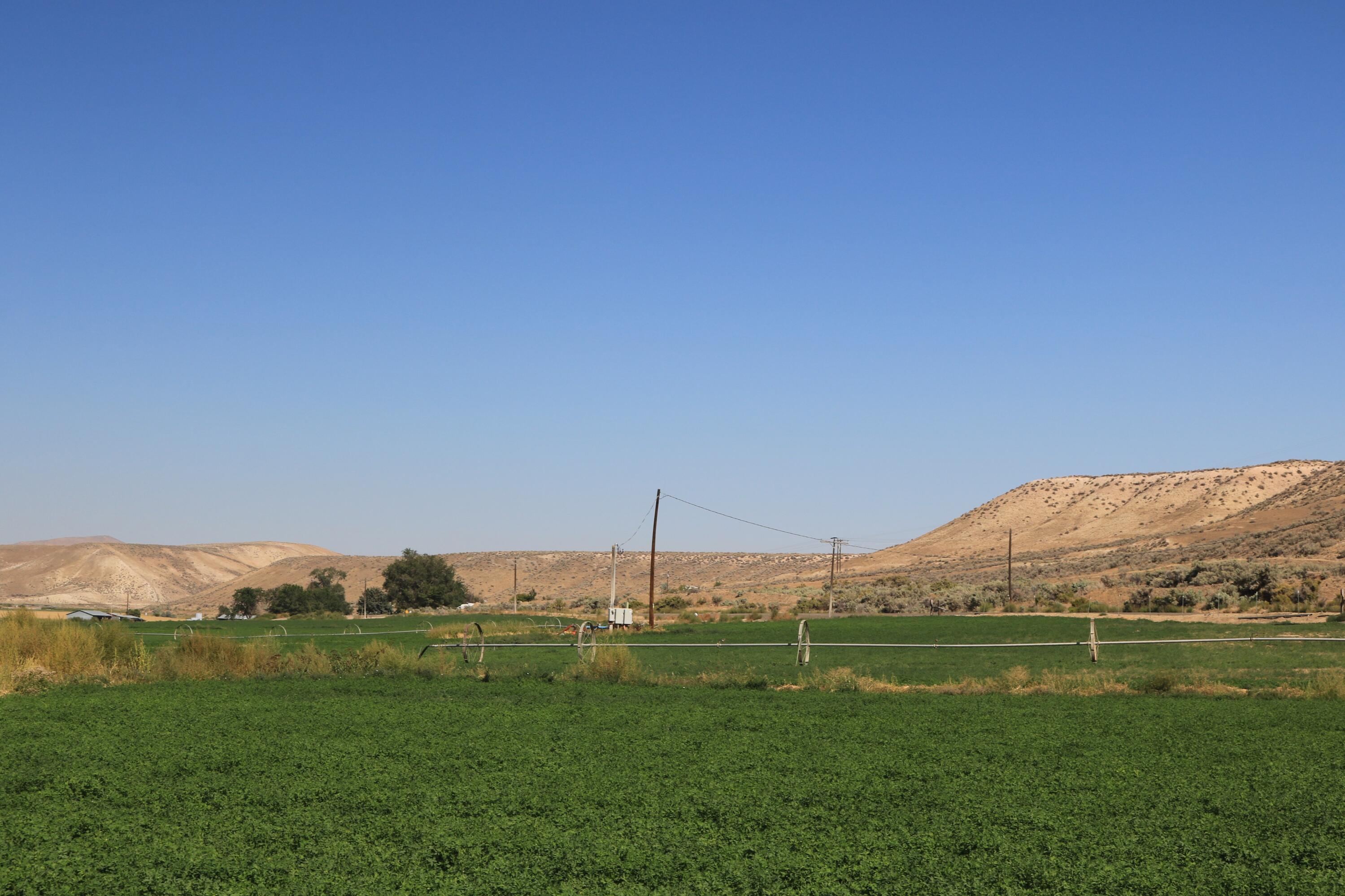 2337 Bully Creek Road Vale, OR 97918 - Photo 15 of 17 irrigated alfalfa field oregon bully spr