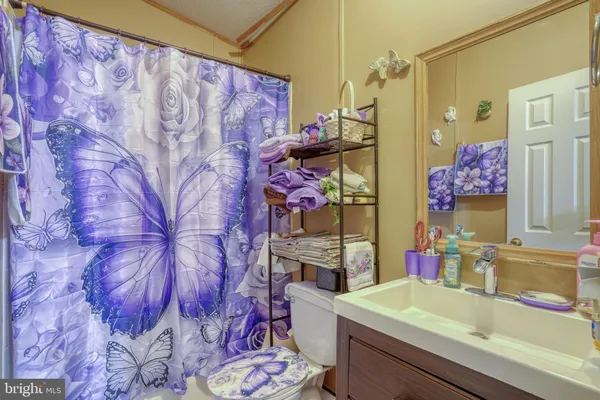 a bathroom with a sink mirror and vanity