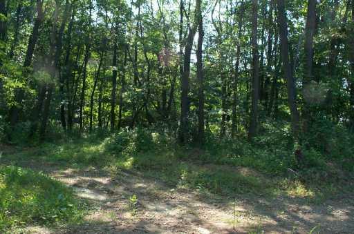 225 B Meridian Road Butler, PA 16001 - Photo 7 of 7 Yard/Garden.