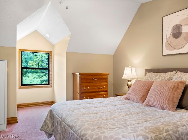631 Short Brook Road Vincent, OH 45784 - Photo 30 of 31 Bedroom with vaulted ceiling, carpet floors, and baseboards