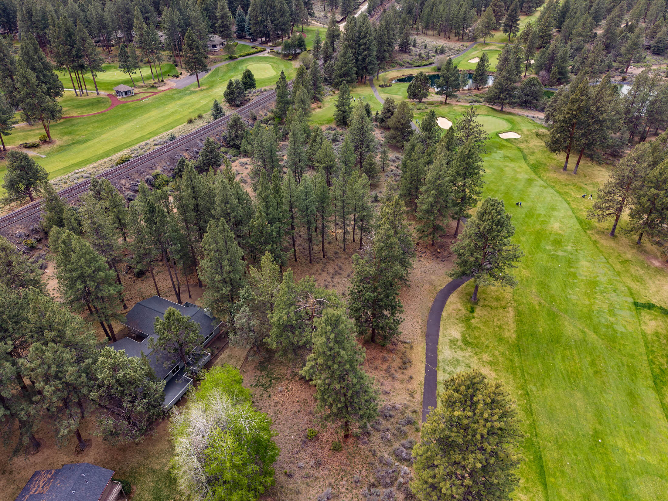 20316 Donkey Sled Road Bend, OR 97702 - Photo 48 of 50 a view of a yard with plants and large trees