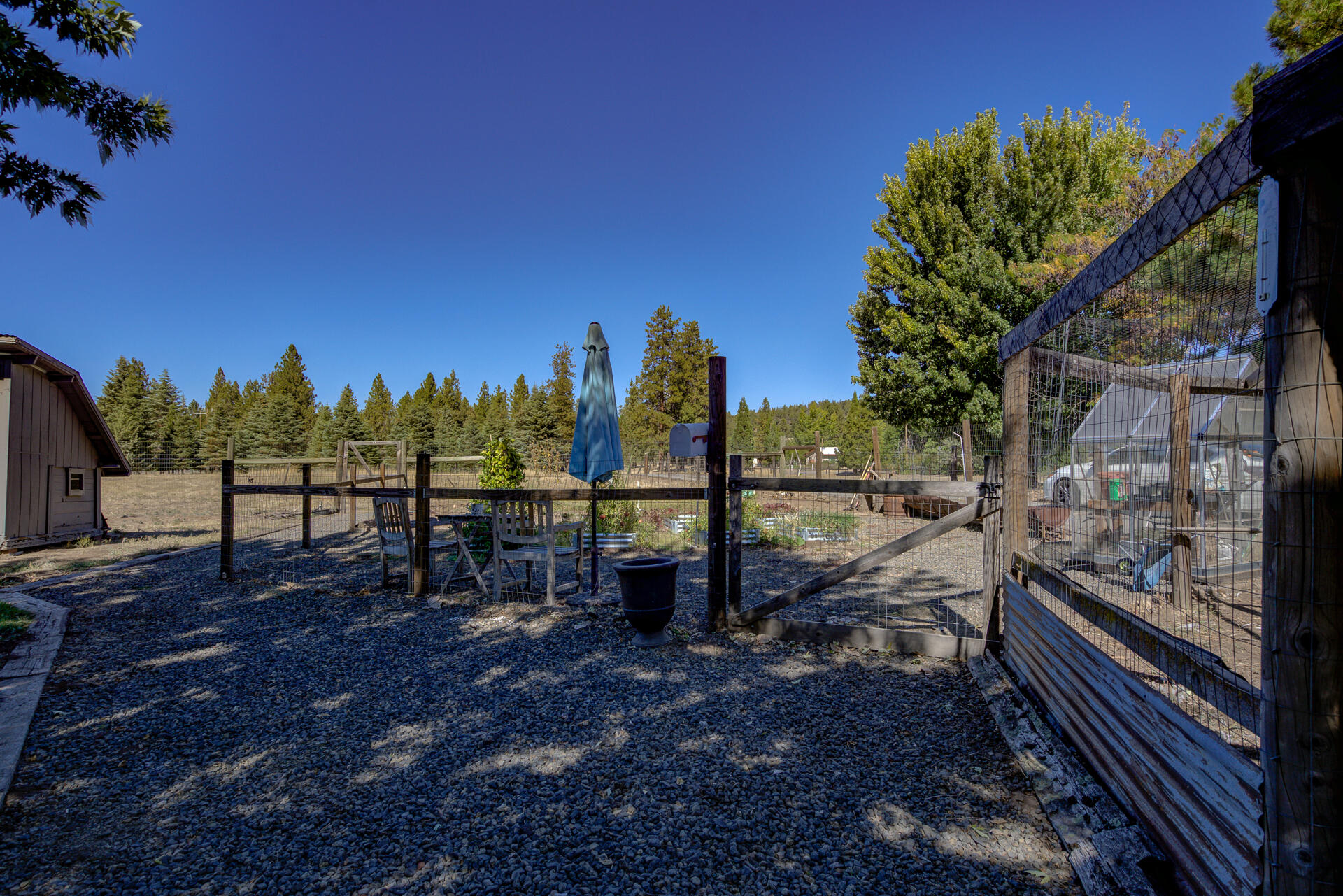 45833 Pittville Road McArthur, CA 96056 - Photo 76 of 81 a view of a yard with a tree