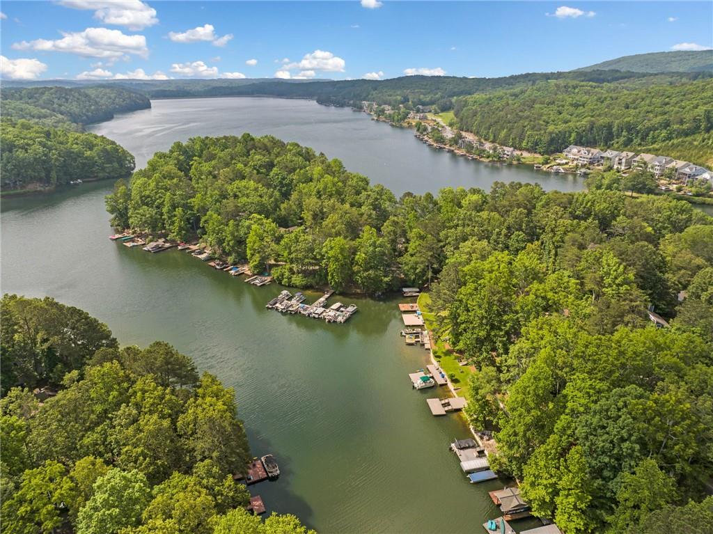 154 Council Oak Loop Waleska, GA 30183 - Photo 11 of 11 an aerial view of a houses with a lake view