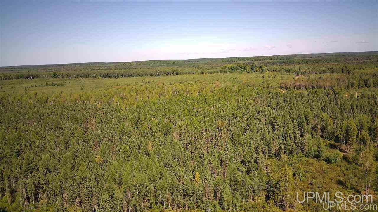 Tbd Off Of Co Rd 557, Unit 1 Arnold, MI 49819 - Photo 9 of 16