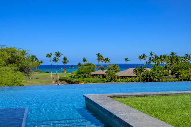 a view of a yard with plants