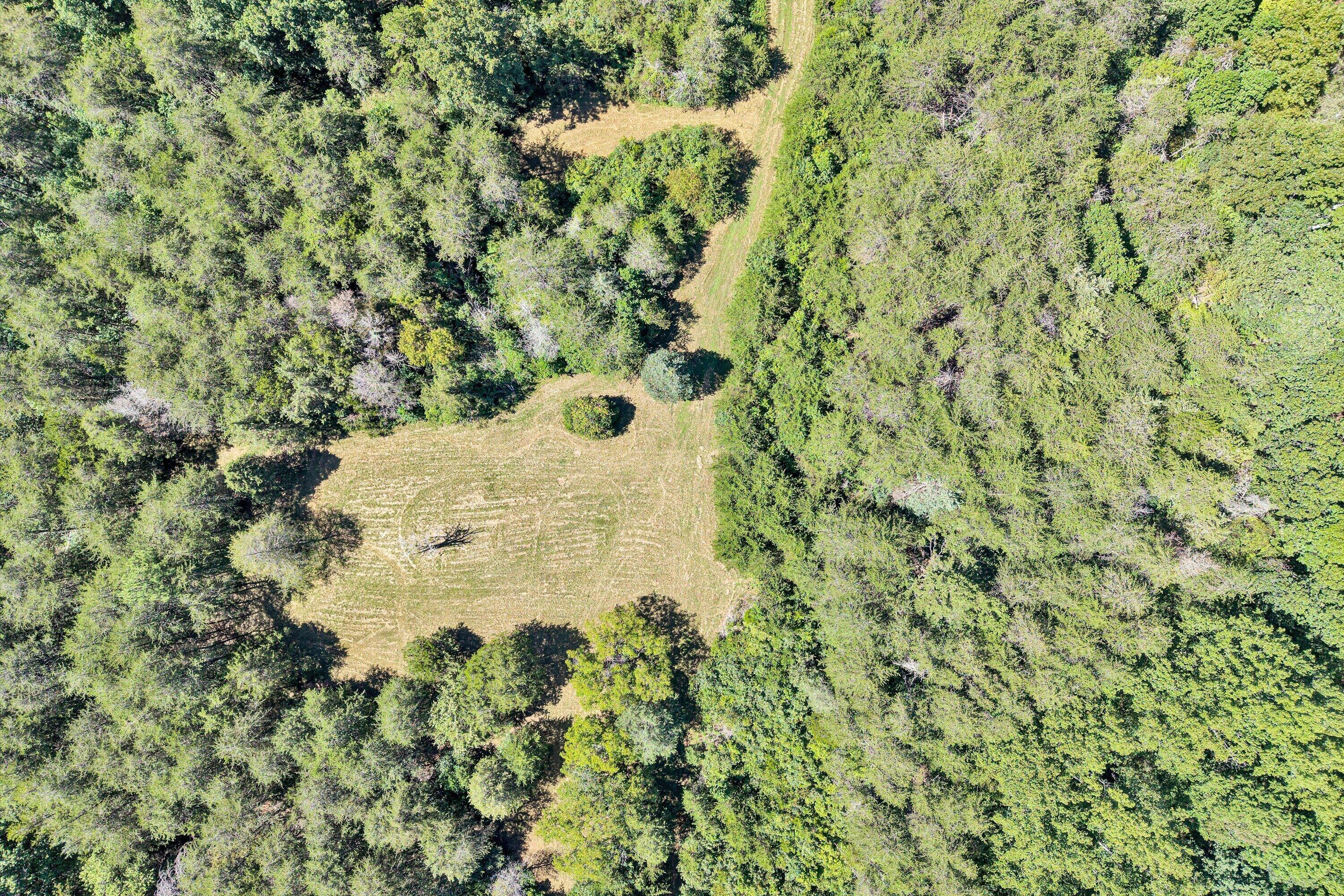 899 Orrix Creek Road Evington, VA 24550 - Photo 60 of 62 60-SGP-0040