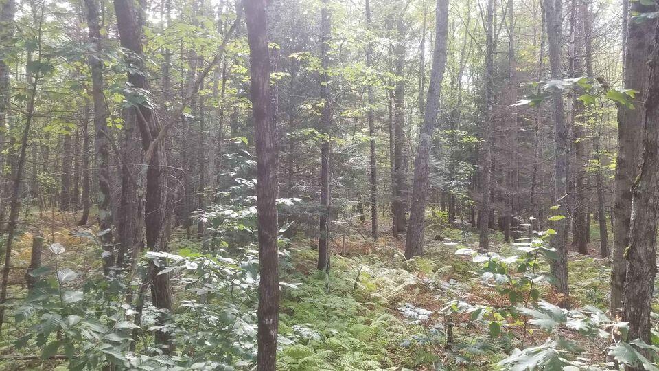 0 Sands Crossing Road East Waterboro, ME 04030 - Photo 2 of 2 274480865_1229360014261079_9507751104203