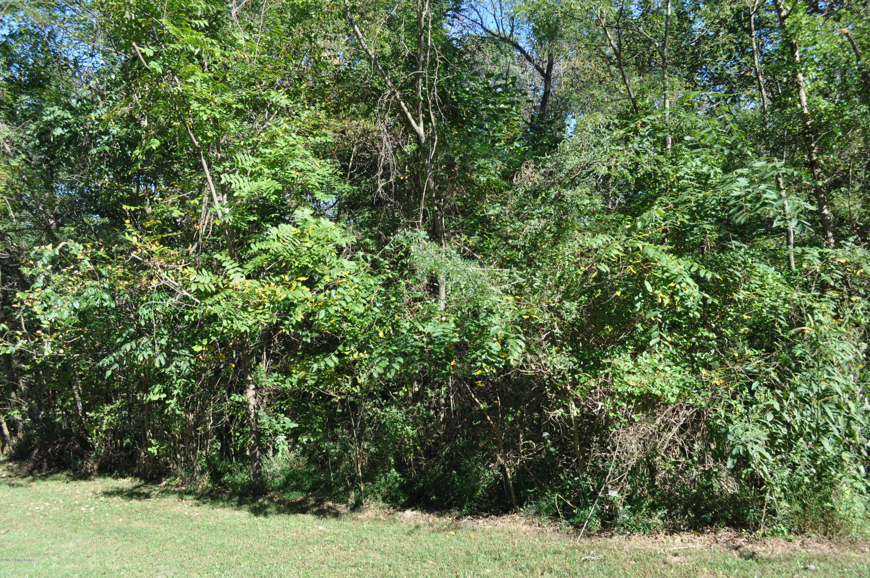 Lot 34 River Edge Road Brandenburg, KY 40108 - Photo 6 of 7 DSC_0038
