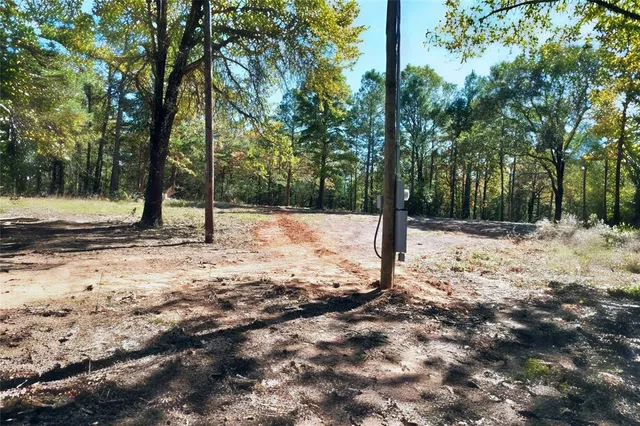 a view of outdoor space with trees