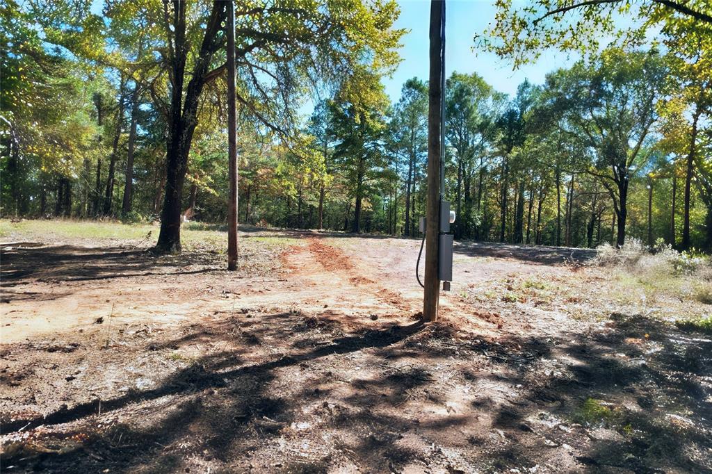 7559 Highway 69 Alba, TX 75410 - Photo 11 of 25 a street view covered with snow