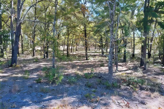 a view of outdoor space with trees
