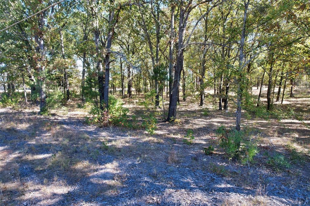7559 Highway 69 Alba, TX 75410 - Photo 15 of 25 a view of outdoor space with trees
