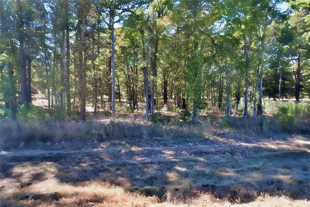 7559 Highway 69 Alba, TX 75410 - Photo 17 of 25 a view of outdoor space with lots of green space