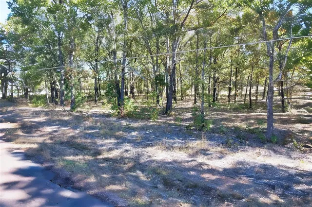 a view of yard covered with trees