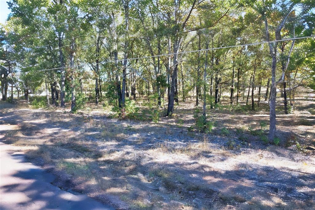 7559 Highway 69 Alba, TX 75410 - Photo 18 of 25 a view of outdoor space with tree s