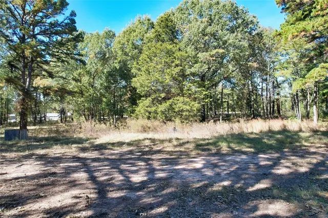 a view of outdoor space with trees