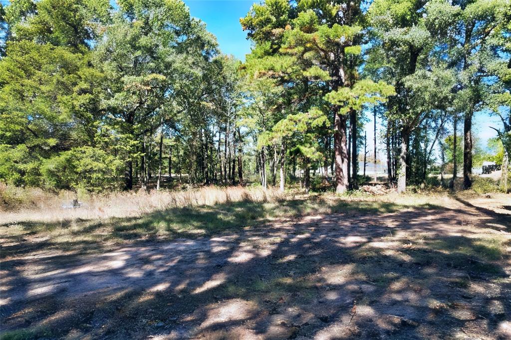 7559 Highway 69 Alba, TX 75410 - Photo 21 of 25 a view of outdoor space with trees