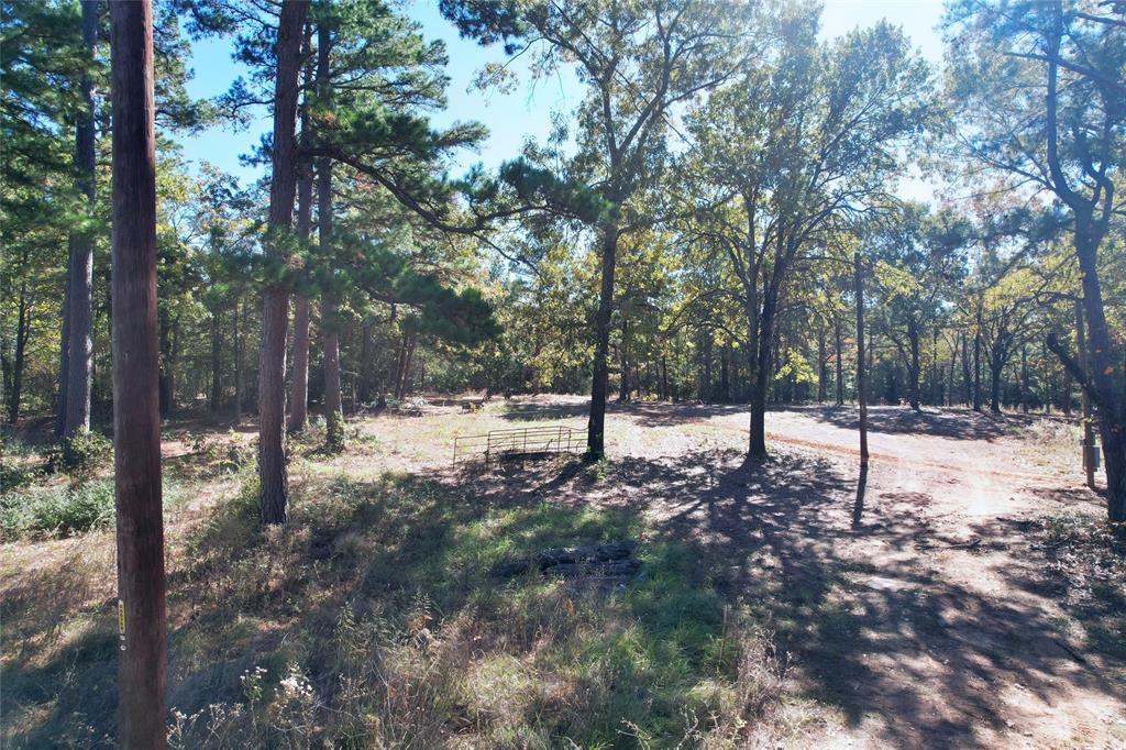 7559 Highway 69 Alba, TX 75410 - Photo 22 of 25 a view of a forest filled with trees