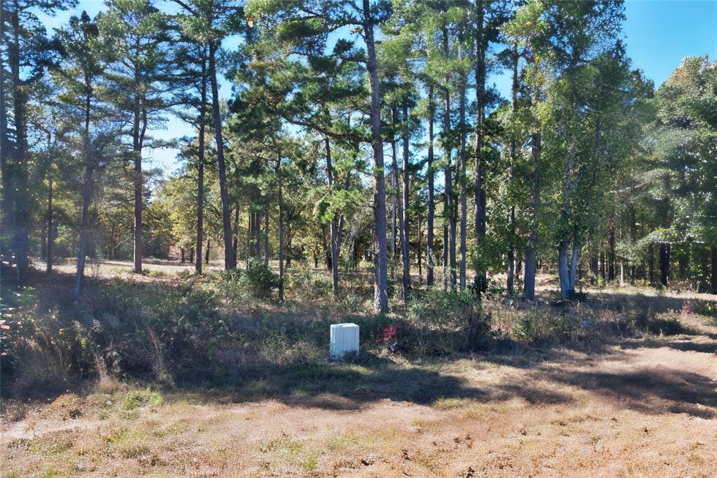7559 Highway 69 Alba, TX 75410 - Photo 23 of 25 a view of a yard with a tree