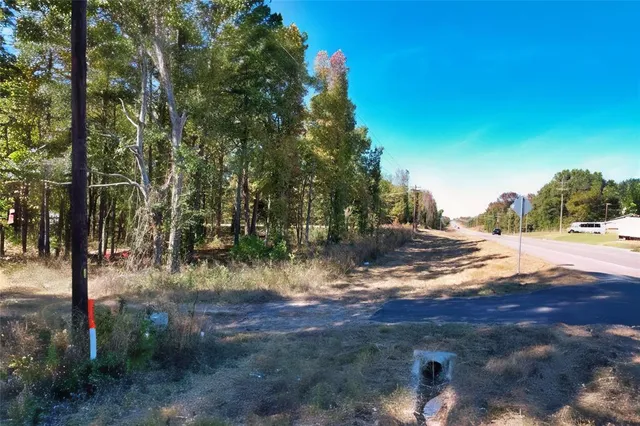 a view of dirt yard with a tree