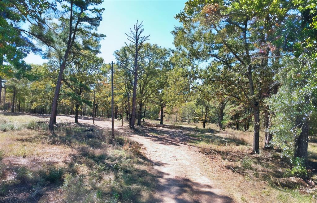 7559 Highway 69 Alba, TX 75410 - Photo 4 of 25 a view of dirt yard with a tree