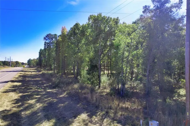 a view of outdoor space with trees