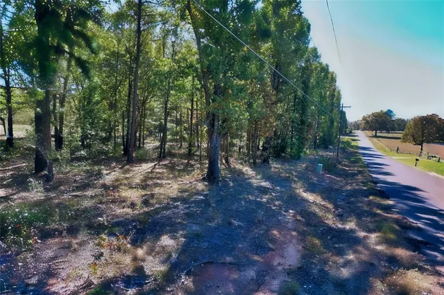 a view of backyard with green space