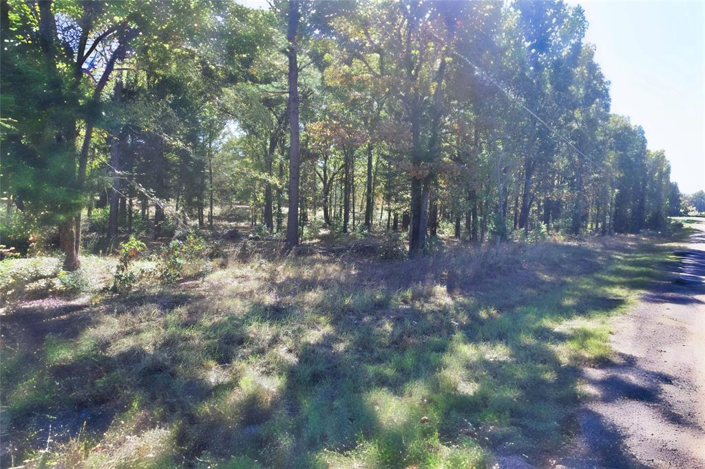 7559 Highway 69 Alba, TX 75410 - Photo 9 of 25 a view of backyard with green space