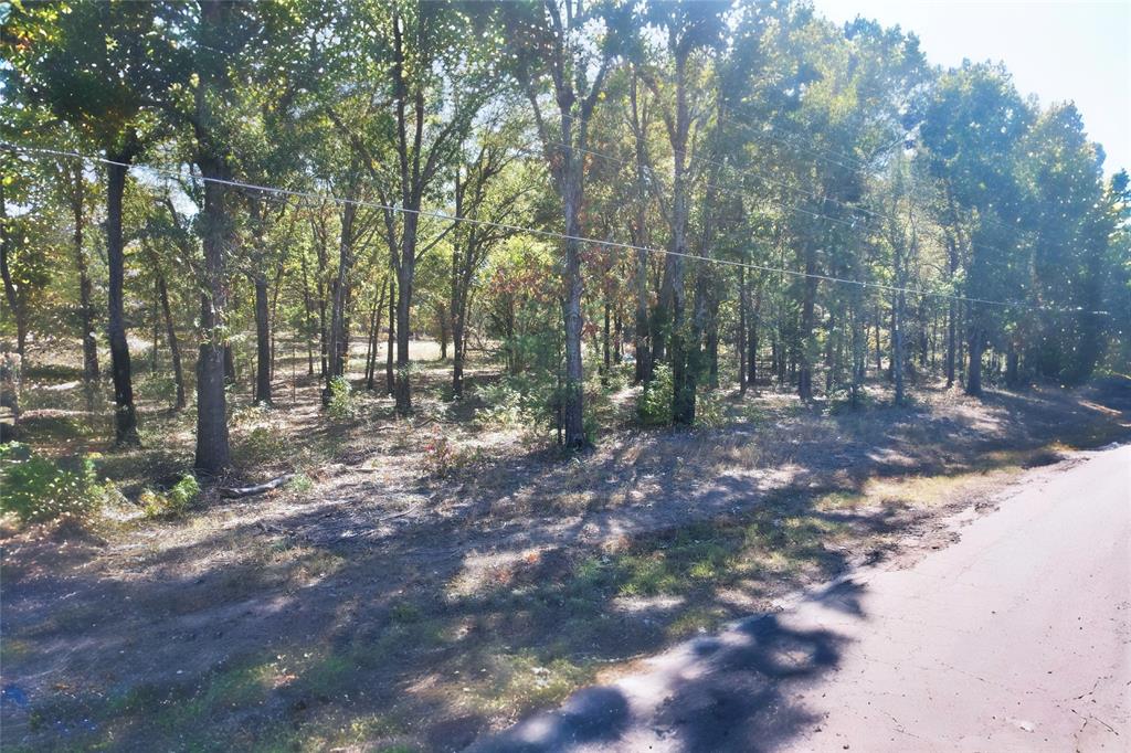 7559 Highway 69 Alba, TX 75410 - Photo 10 of 25 a view of a forest with trees