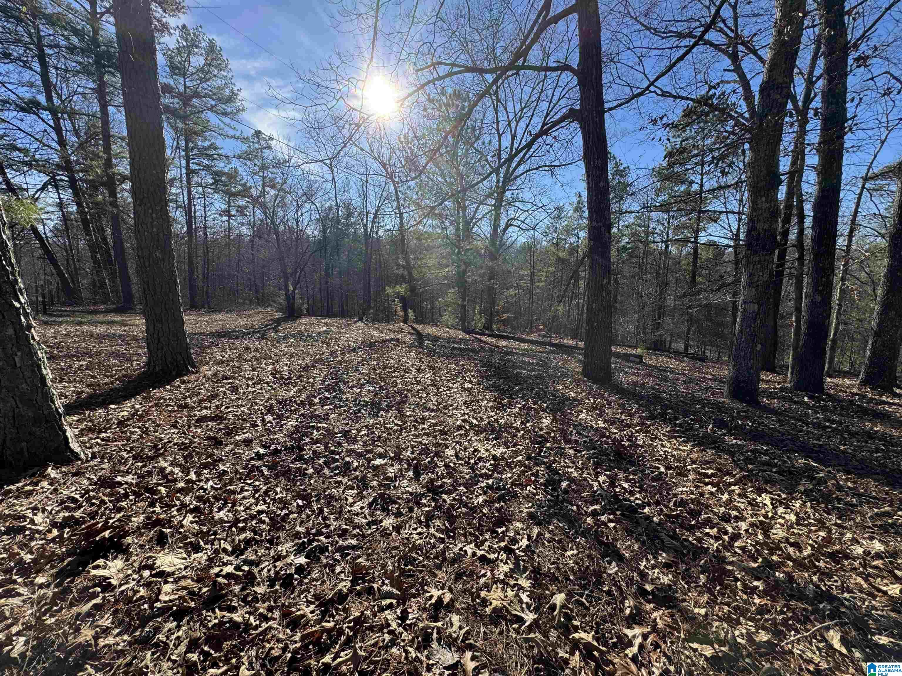 2570 Mt View Road, Unit 13251 Hayden, AL 35079 - Photo 7 of 13