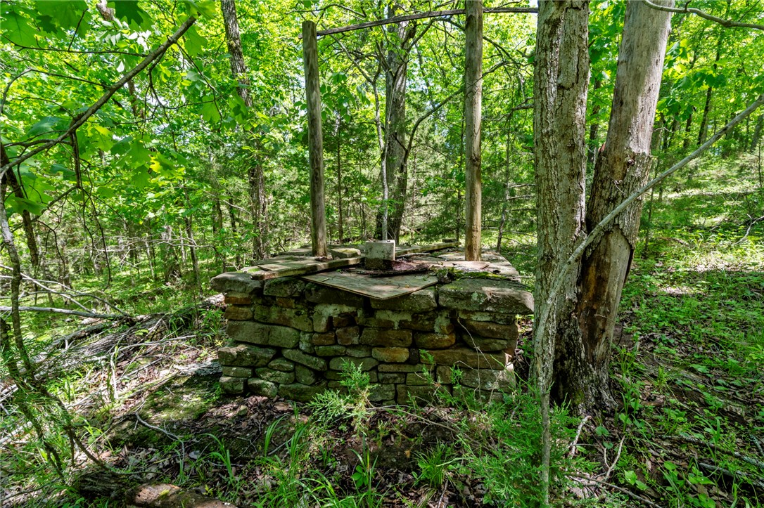 Tbd Bray Road Elkins, AR 72727 - Photo 39 of 55 Gallery Image 39