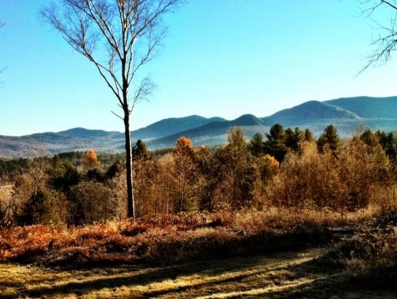 329 Adams Mill Road, Unit 1 Stowe, VT 05672 - Photo 3 of 5