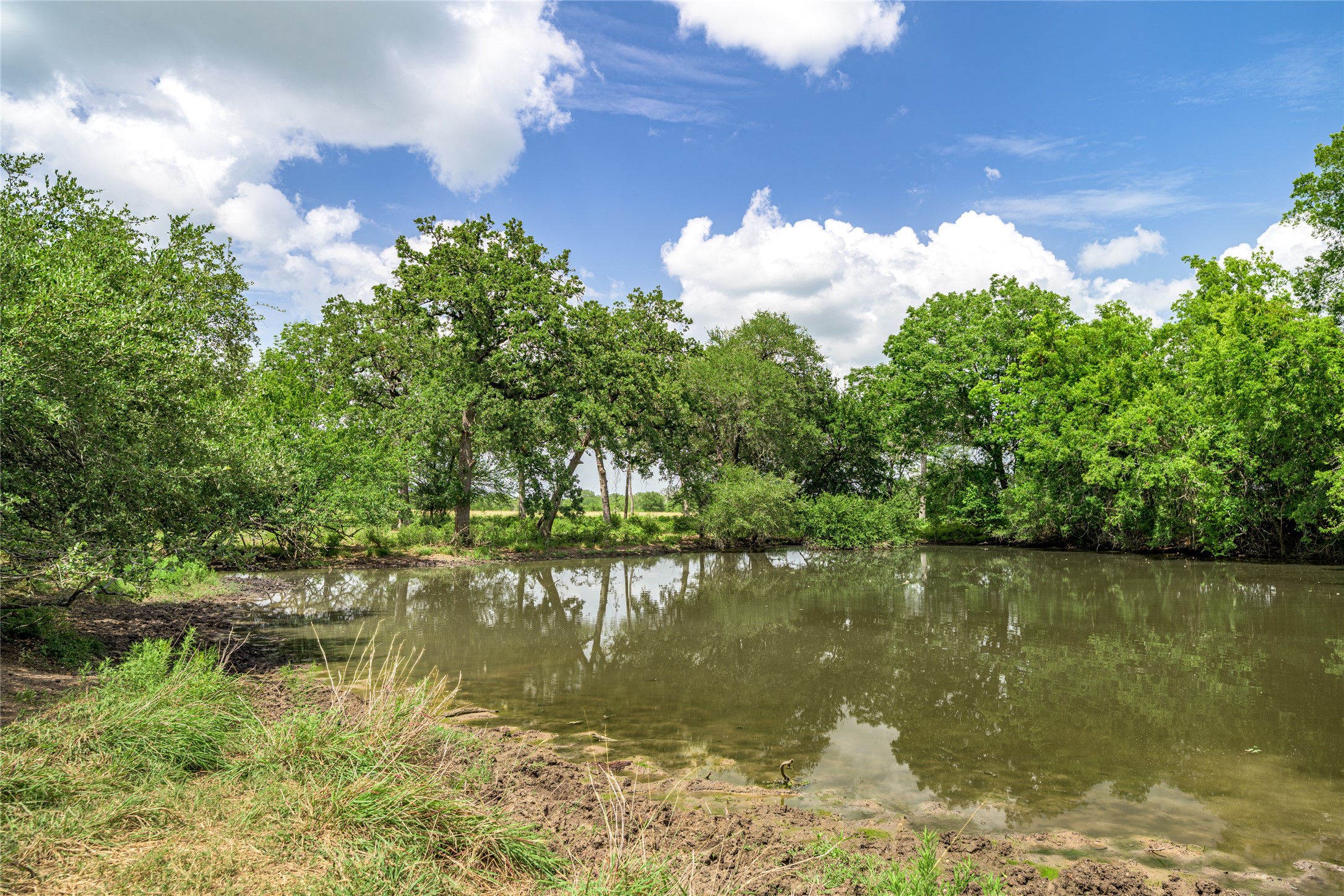 6700 Walhalla Road Round Top, TX 78954 - Photo 12 of 17 a view of a lake from a yard
