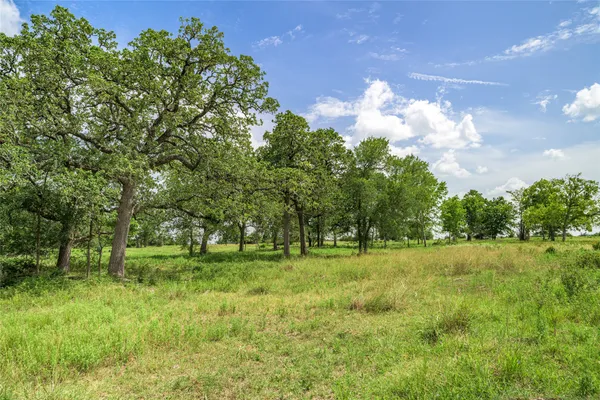 a view of an outdoor space and yard