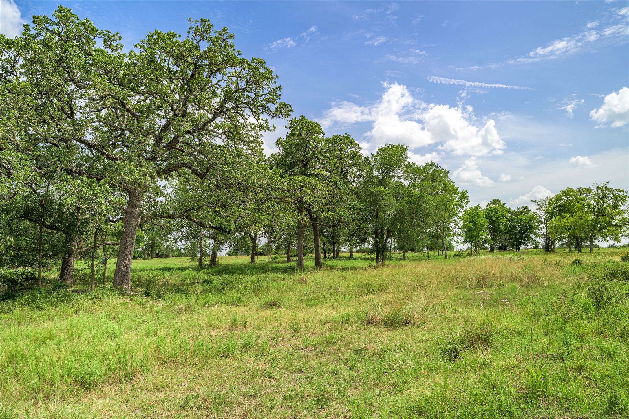 6700 Walhalla Road Round Top, TX 78954 - Photo 6 of 17 a backyard of a house with lots of green space and garden