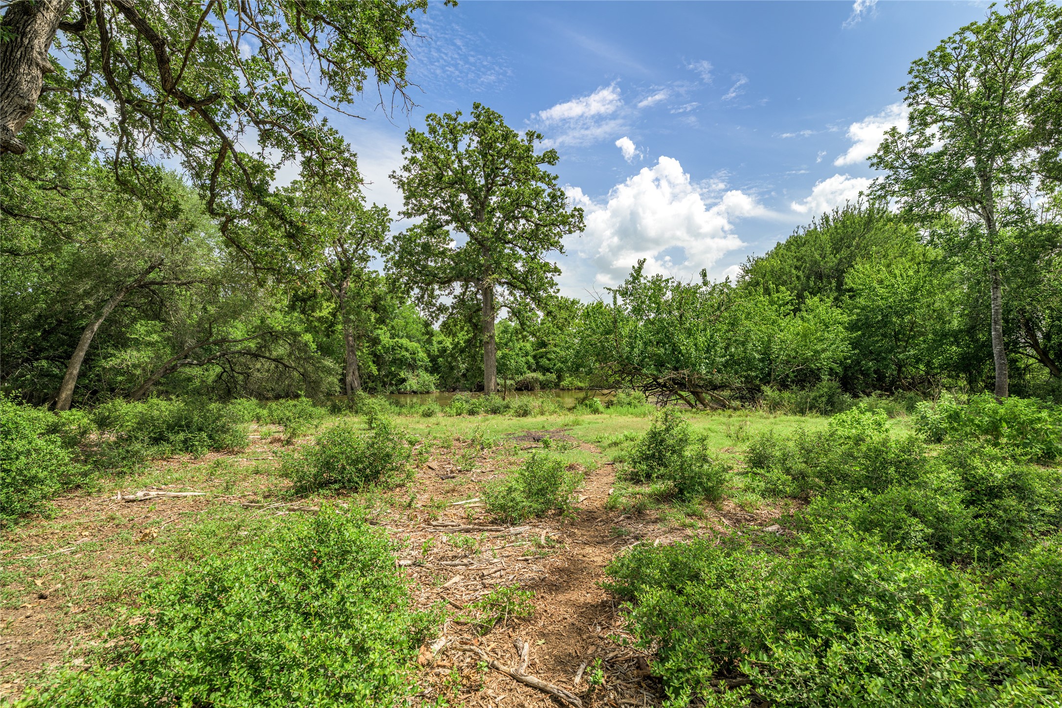6700 Walhalla Road Round Top, TX 78954 - Photo 7 of 17 a view of a yard with plants and a bench