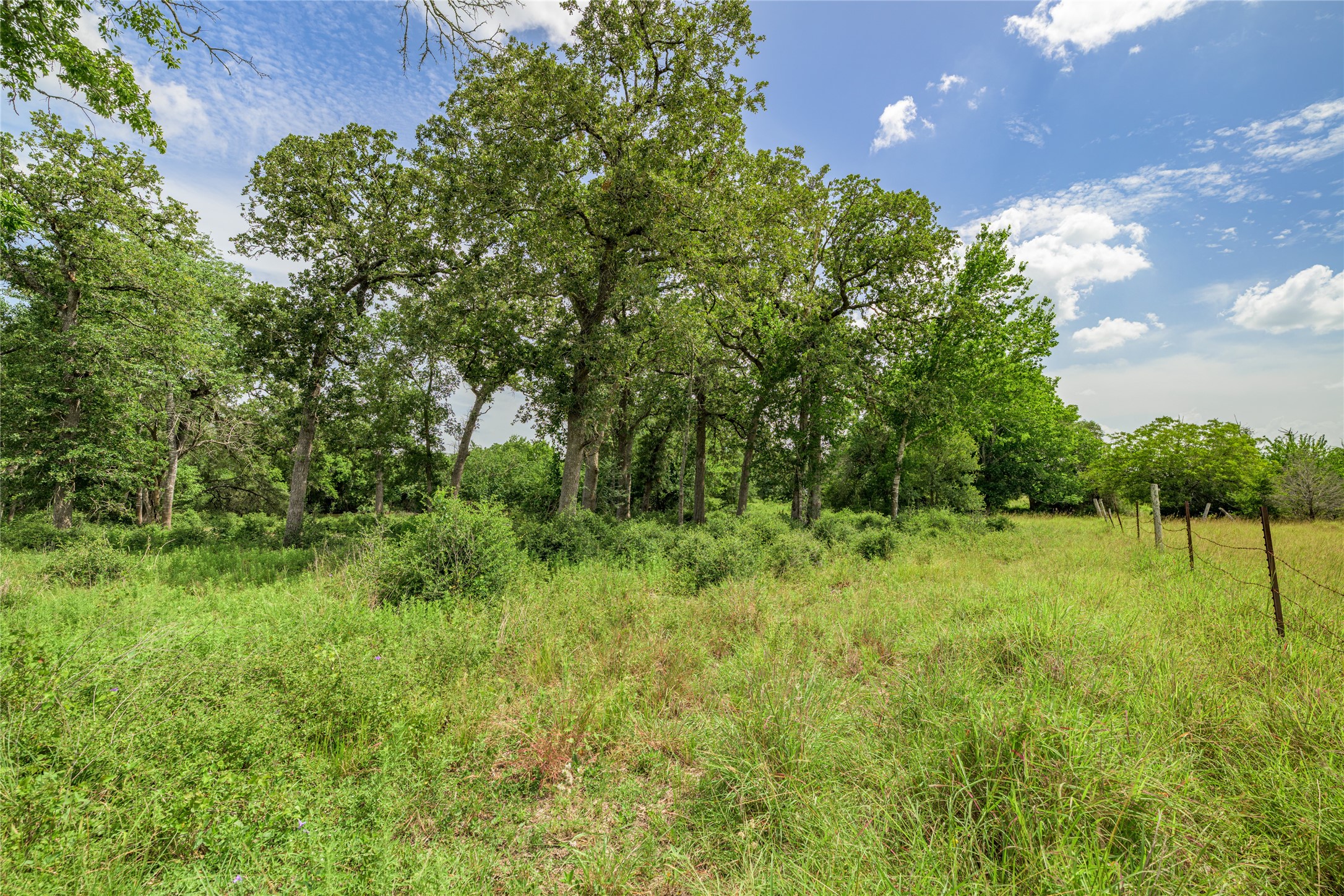 6700 Walhalla Road Round Top, TX 78954 - Photo 8 of 17 a view of an outdoor space and yard