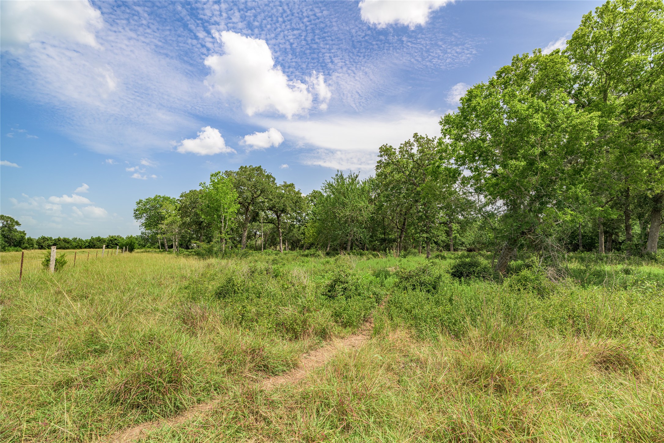6700 Walhalla Road Round Top, TX 78954 - Photo 9 of 17 a view of a lake and trees in the background