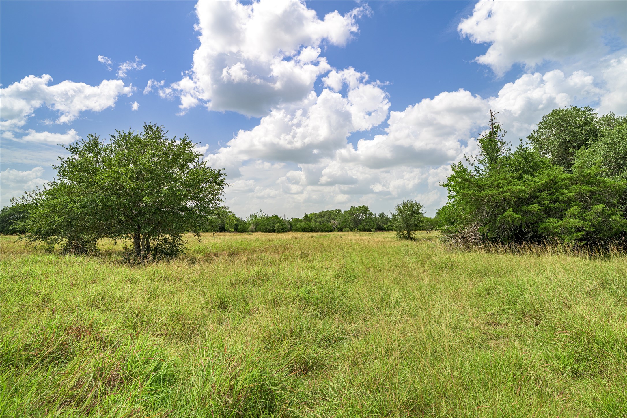 6700 Walhalla Road Round Top, TX 78954 - Photo 10 of 17 a backyard of a house with lots of green space