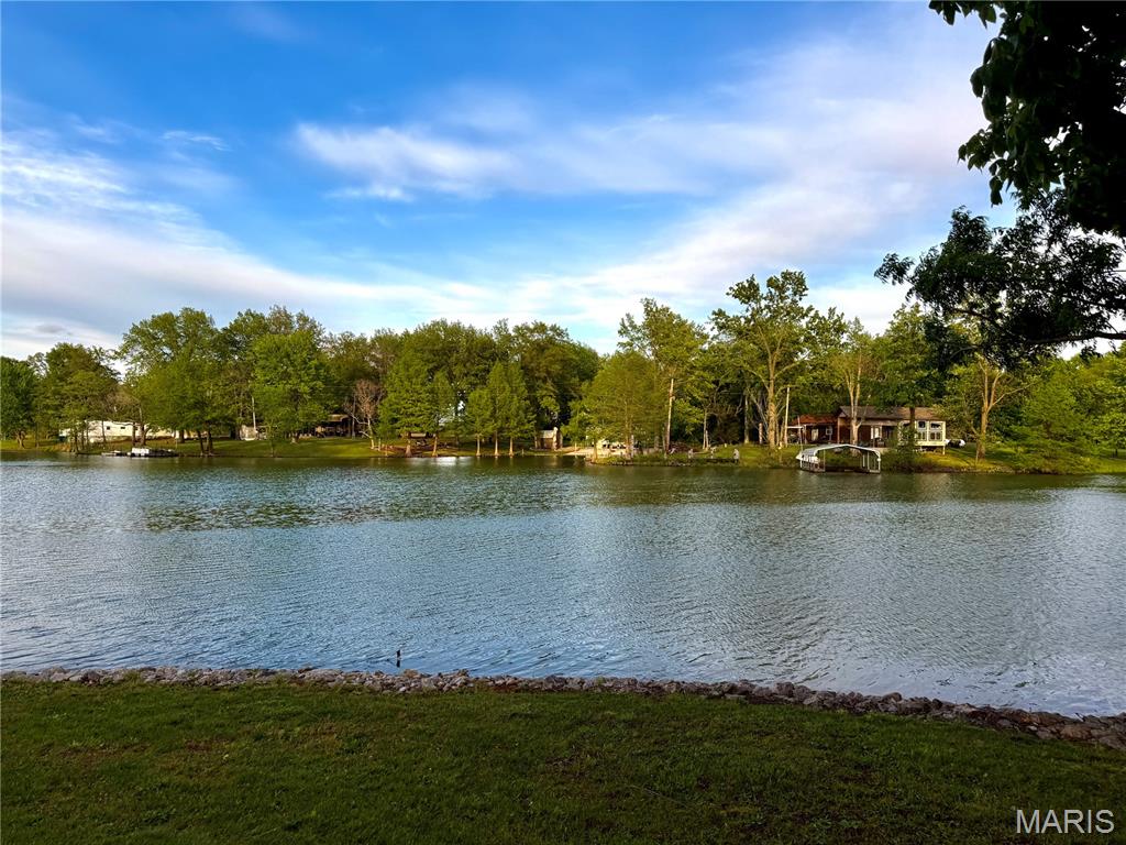 8352 Club Lane Alma, IL 62807 - Photo 50 of 58