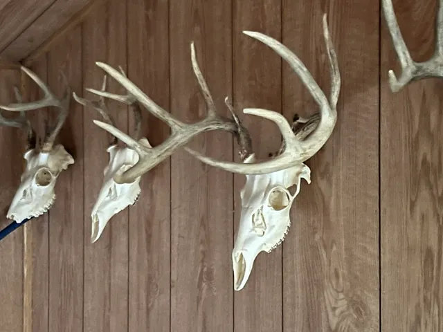 $1,200,000 | S2547 Highway 58, La Valle, WI 53941