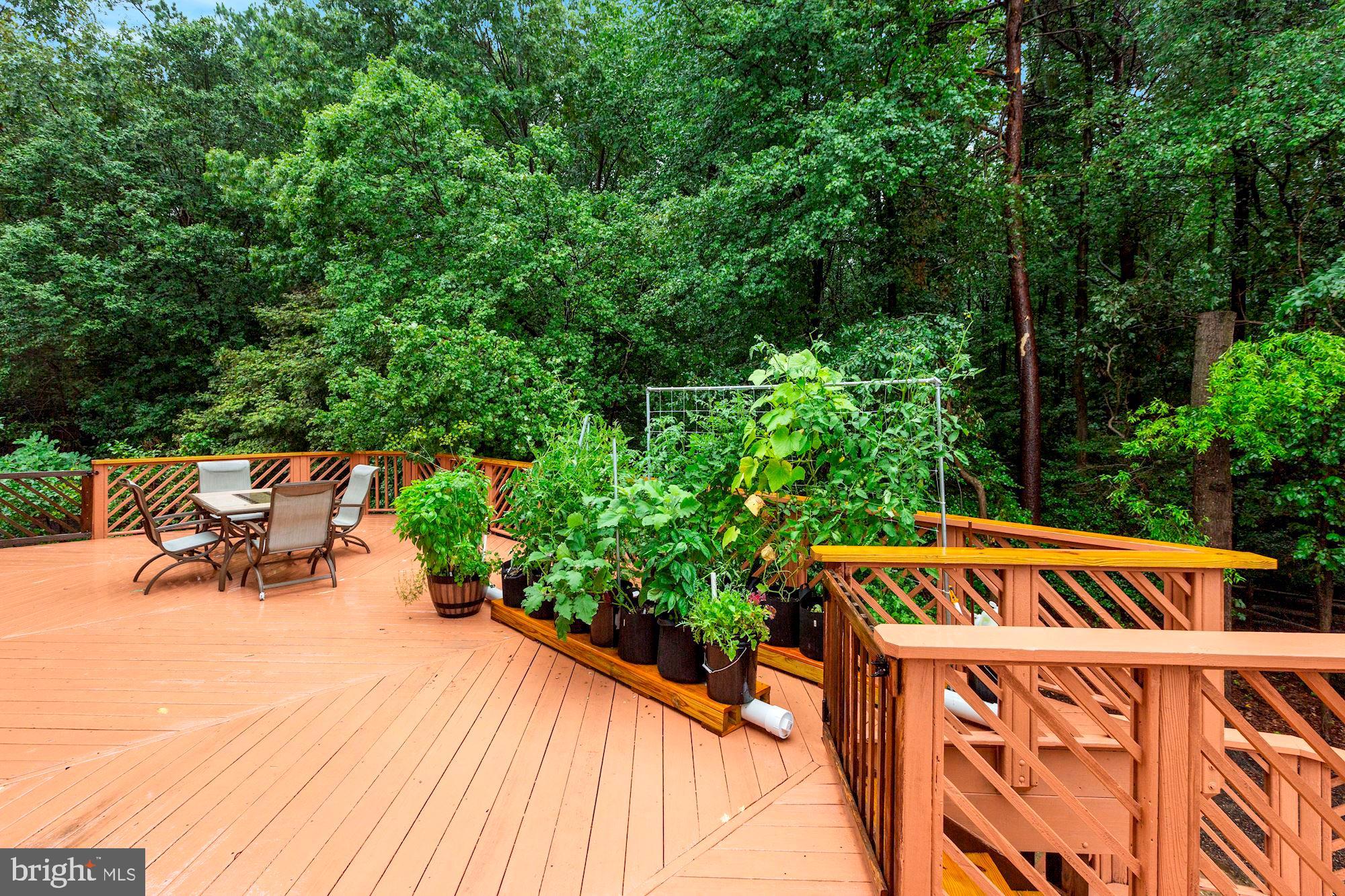 8604 Compass Court Laurel, MD 20708 - Photo 38 of 41 Deck