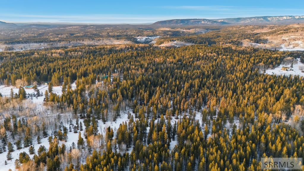4523 Elk Loop Road Ashton, ID 83420 - Photo 33 of 39