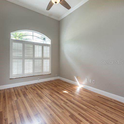 3902 Hidden Spring Place Valrico, FL 33596 - Photo 14 of 31